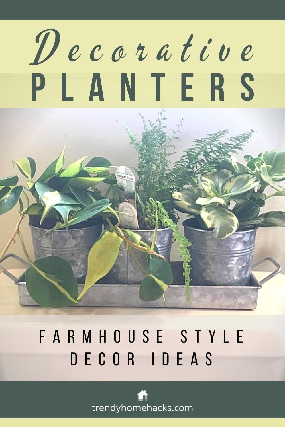 Decorative Metal Planter