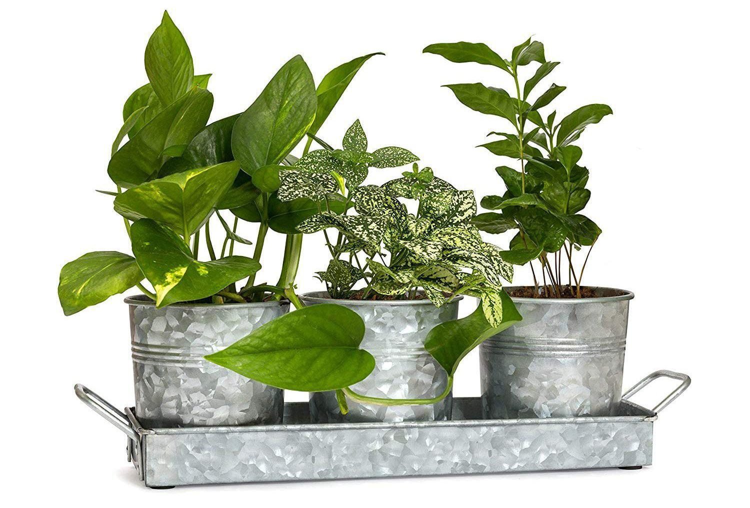 10+ Cute Planters with a Farmhouse Look