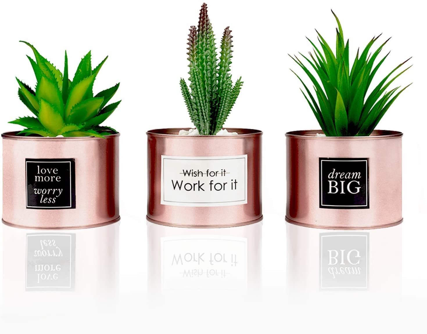Three rose gold pots each holding a different succulent plant, with motivational phrases to set up a productive workspace at home: "love more worry less," "Wish for it Work for it," and "dream BIG" inscribed on them.