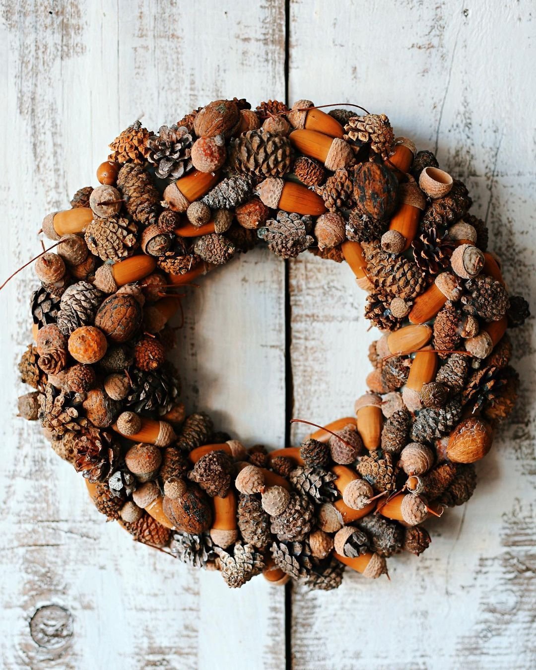 A handcrafted wreath made from various pinecones, acorns, and natural materials, hung on a rustic white wooden door showcases how to make your own fall wreaths with natural materials and scents.
