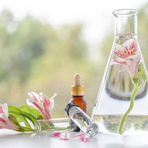 How to Create a Comforting Home Interior Vibe with Aromatic Essential Oils